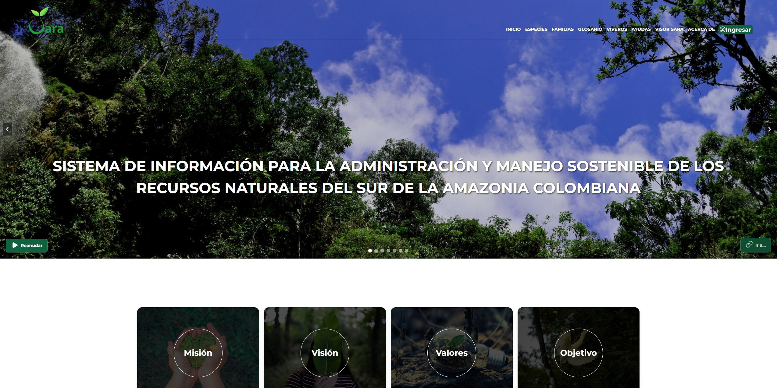 Preview de Proyecto Semillas - Sara